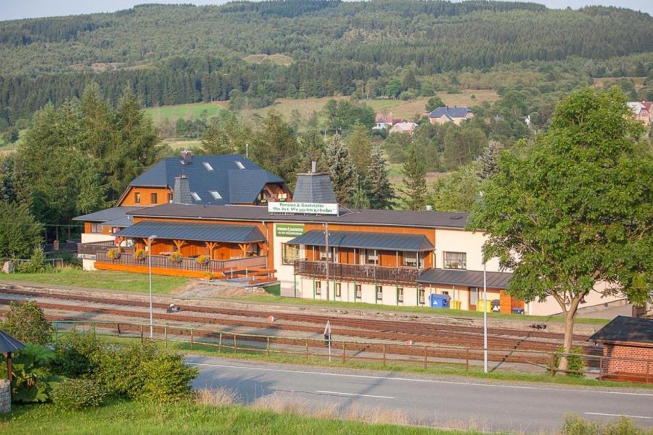 Pension An Der Erzgebirgsbahn Курорт Обервизенталь Экстерьер фото