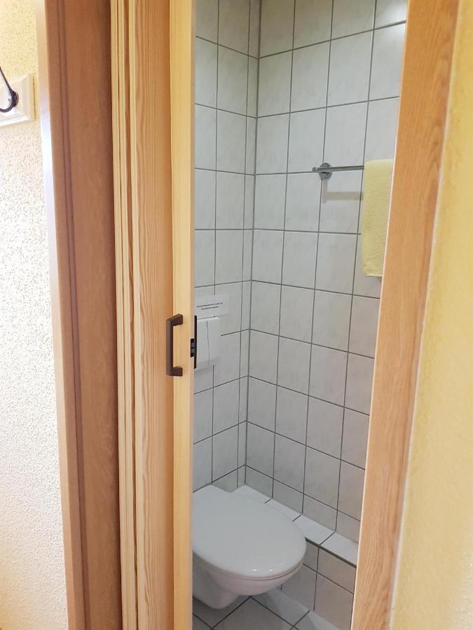 Pension An Der Erzgebirgsbahn Курорт Обервизенталь Экстерьер фото