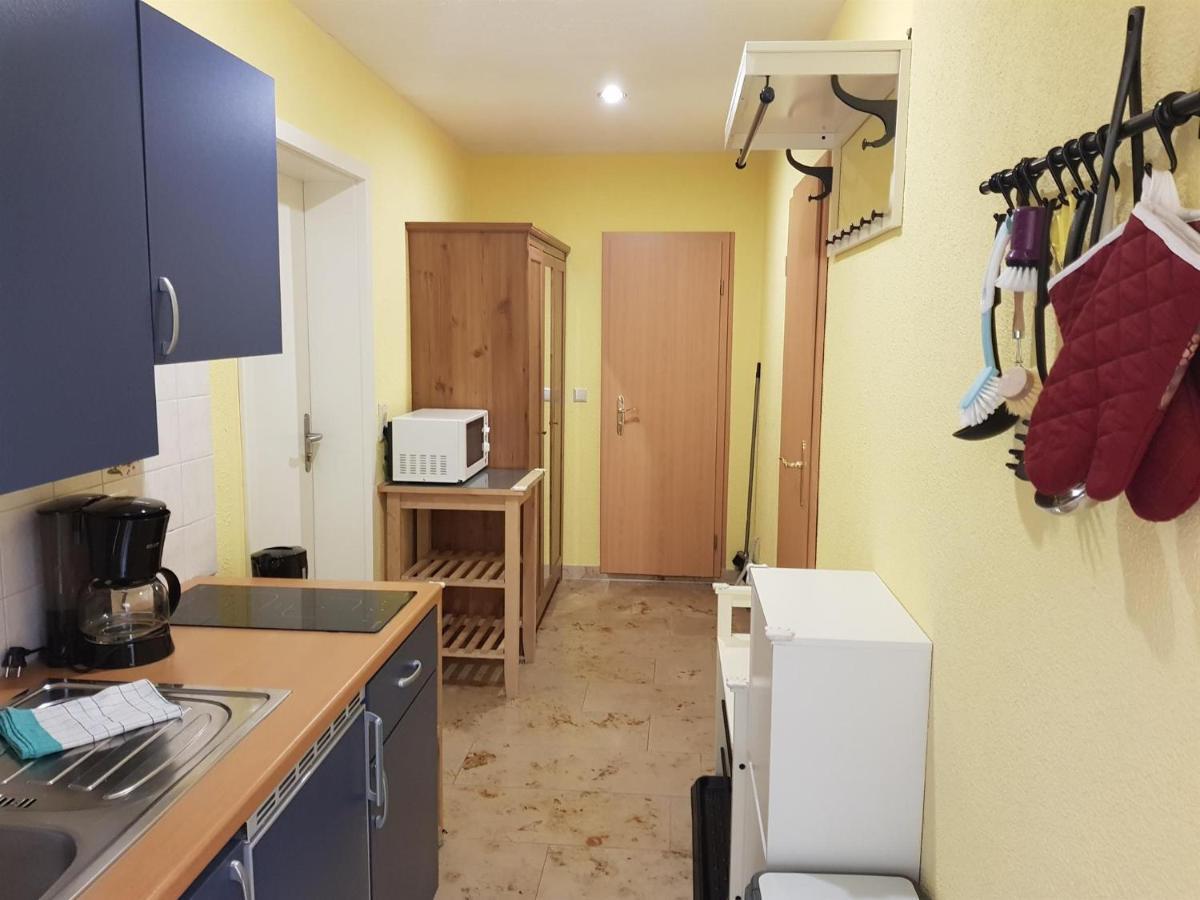 Pension An Der Erzgebirgsbahn Курорт Обервизенталь Экстерьер фото
