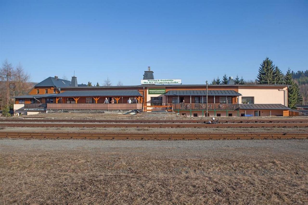 Pension An Der Erzgebirgsbahn Курорт Обервизенталь Экстерьер фото